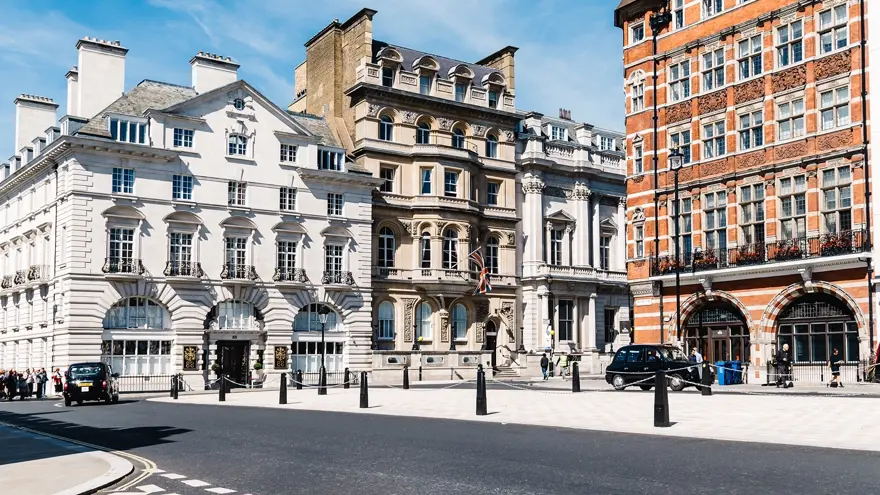 Thompson Taraz Pall Mall Crop